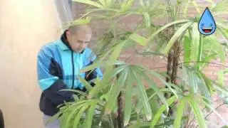 Dilemas Existenciales 2 - 