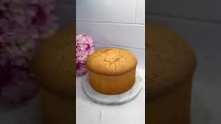 Высокий БИСКВИТ 9 см🔥