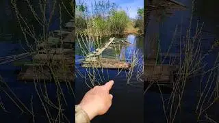Рыбалка.Залезли в дебри #fishing #рыбалка #shorts
