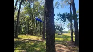 Spirit Bottle Trees