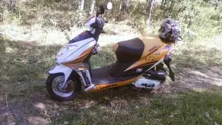 жизнь