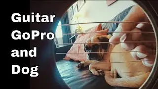 Maneli Jamal - GoPro Inside Acoustic Guitar and Puggle