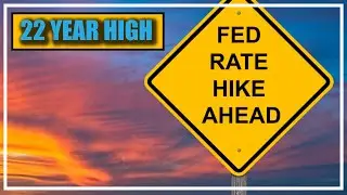 Fed Raises Rates to a 22 Year High-Are More on the Way? &Twitter's Rebrand to X, Dumb or Smart Move?