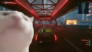 Cyberpunk 2077 cat meme