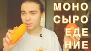 МОНОЕДЕНИЕ | МОНОСЫРОЕДЕНИЕ | Польза или Вред?