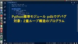 Python Debug Demo