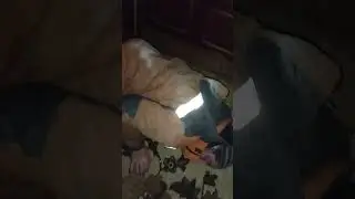 #перебрал