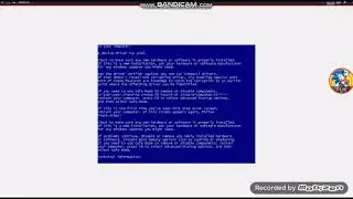 Daddy Yankee - Shaky Shaky has BSOD