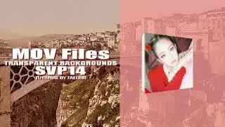 Tutorial 05: Transparent Background/MOV files [SONY VEGAS PRO14] TAECHII