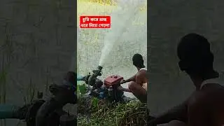 চুরি করে মাছ ধরে নিয়ে গেলো।