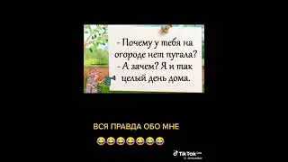 #Веселись