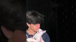 la cara que hace kitty al final xd