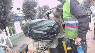 собака друг челавека.AVI