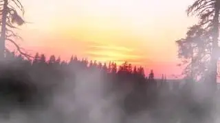 Wonders Of Nature - The Ballad Of Fallen Leaves