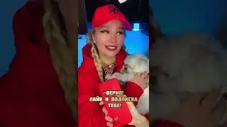 Что зимой длиннее