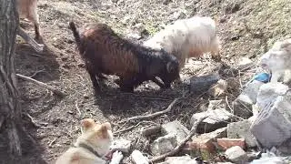 1й раунд