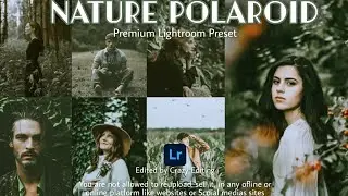 Polaroid Presets - Nature Polaroid | Mobile Preset Tutorial | Best Lightroom Free DNG