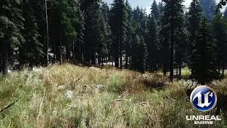 Unreal Engine 4 - The Forest Part 2 / HDRI Sky Light