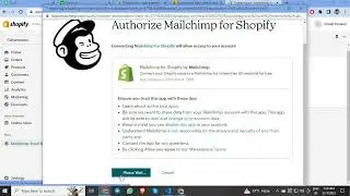 how to connect shopify with mailchimp