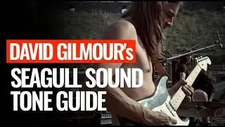 David Gilmour's seagull reversed wah wah tone from Echoes!