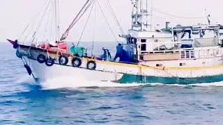 KAPAL TRAWL TAIWAN MELAJU speed DIATAS 15Knots