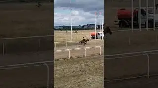 2 млн теңге Алматыға кетті