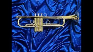 GREAT Custom Trumpet by Ivan Hunter; The Jaeger