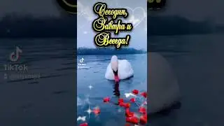 Доброе утро 🥰солнечного денёчка и чудесного настроения ❤️