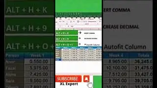 #youtubeshorts insert comma, decrease decimal, auto fit column#shortsyoutube
