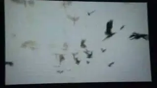resident evil 5 teaser trailer