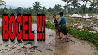 PREMAN BOCIL BERKELAHI ⁉️ | Komedi Indonesia
