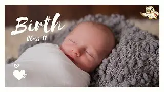 Birth class 11 in Hindi