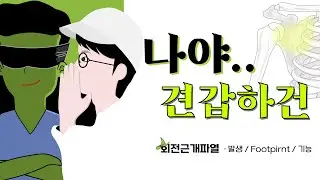 회전근개파열 [견갑하건]2-1 : 발생, footprint, 기능