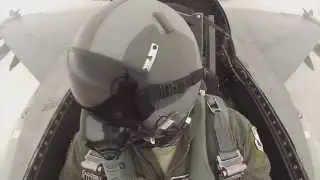the mrbrown show: Republic of Singlish Air Force: the movie