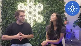 CARDANO Summit 2024 NYC: Starcada