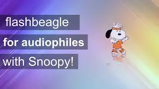 flashbeagle disco club (audio) 192 kHz / 24 bit