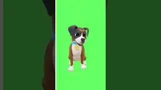 Welcome to 4K Green Screen Delight: 