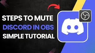 How To Mute Discord In OBS