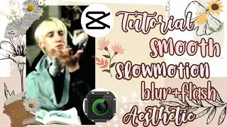 Tutorial Smooth Slowmotion Blur+Flash🦄