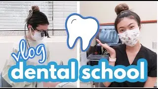 eye surgery, bridge comp, molar endo // LauraSmiles