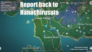 Report back to hanachirusato genshin impact @pgi6918