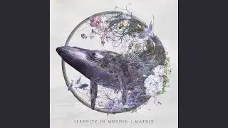 Matrix