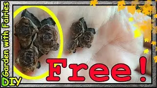 Creative Materials - Free! In any grocery store and on the street