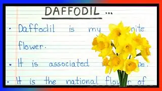 10 lines on daffodil flower | Daffodil flower  10 lines essay in english