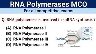 RNA Polymerases MCQ | Transcription| Molecular Biology MCQ for Competitive Exams