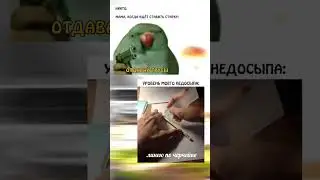 Просто #мемы