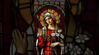 Mother of GOD ✝️ Stained Glass Animated Art