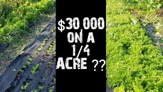 $30k On a 1/4 Acre Farm?!? Is it Possible?
