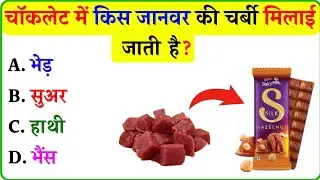 चॉकलेट में किस जानवर की चर्बी मिलाई जाती है ll Gk In Hindi ll General Knowledge ll Gk