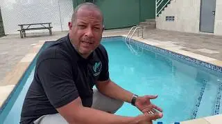 Pool Maintenance for Beginners by Veldon A Limited